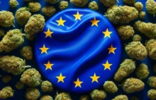 Medyczna marihuana podbija Europę. Jest legalna już w 21 krajach UE
