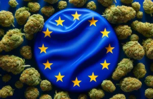 Medyczna marihuana podbija Europę. Jest legalna już w 21 krajach UE