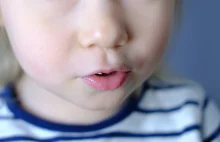 Dwulatka sama na poboczu drogi