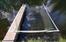 Projekt za 250 mln zł porażką.. Poważna wtopa państwowego Instytutu