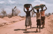 Afryka stoi w obliczu bezprecedensowego kryzysu żywnościowego