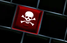 Największy na świecie serwis piracki został zamknięty. Koniec imperium