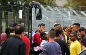 Unia ma plan stworzenia raju dla imigrantów w Polsce.