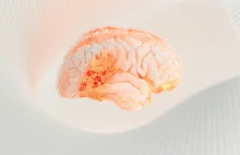 Nowa era leczenia: pierwsza ukierunkowana molekularnie terapia w terapii glejaka