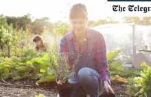 Ślad węglowy a żywność uprawiana tradycyjnie we własnym ogródku