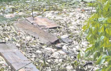 Hrubieszów: Klęska ekologiczna w Huczwie. PZW Zamość chce pozwać trucicieli