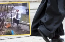 Ksiądz kopał psa i riposta sołtysa.