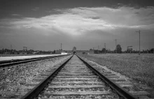 Żydowska organizacja z USA odwołuje wizytę w Polsce