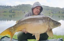 12 gigantycznych karpi złapanych w majówkę. Karp gigant ważył 18 kg