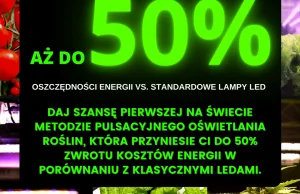 Polska firma rozpoczyna współpracę z przedsiębiorstwem Snoop Dogga. Chodzi o med