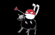 Kingdom Come: Deliverance 2 "The Polish Guy