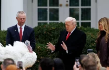 Tradycji stało się zadość. Trump ułaskawił dwa indyki