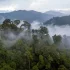 Zaginiona dolina w Amazonii. W dżungli odkryto miasta sprzed 2 tys. lat