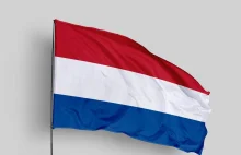 Holandia rozważa wykupienie i przekazanie Ukrainie dzierżawionych od Niemiec...