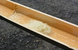 900 osób zatruło się po zjedzeniu "płynącego makaronu" w Japonii