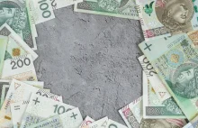 1300 zł dla każdego Polaka. Bezwarunkowy dochód, a budżet