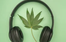 Dlaczego używanie marihuany zmienia postrzeganie muzyki? - FaktyKonopne.pl