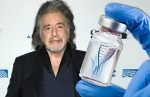 Jest wynik testu DNA 83-letniego Ala Pacino! Zostanie ponownie ojcem?