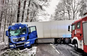 Pomimo zakazu wsiadł za kierownicę i ciężarówką uderzył w drzewo. - WIELKOPOLSKA