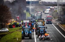 Polscy kierowcy utknęli w Zeebrugge. „Nie przeciśniemy się”