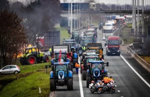 Polscy kierowcy utknęli w Zeebrugge. „Nie przeciśniemy się”