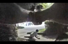 15 latek postrzelony przez policję po ostrzelaniu konkurencyjnej grupy "kibiców"