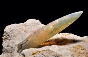 O belemnitach i ich znaczeniu we wczesnym średniowieczu na ziemiach polskich