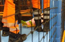 11-latka złamała kręgosłup na sali zabaw podczas przyjęcia urodzinowego