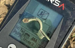 Niepozorna, a rzadka. Zapinka gąsienicowata znaleziona pod Gniewkowem