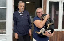 Pies na medal! Pan Ryszard czekał na ratunek w lesie, a Maksio wrócił z policją!