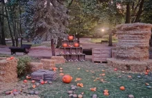 Rozsypane dynie, zniszczony labirynt. Tak wygląda farma dyń w Powsinie po weeken