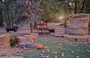 Rozsypane dynie, zniszczony labirynt. Tak wygląda farma dyń w Powsinie po weeken