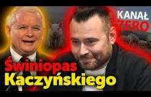 Świniopas Kaczyńskiego.