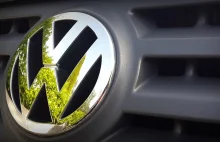 Nabywcy używanych samochodów VW mogą kwalifikować się do masowego odszkodowania