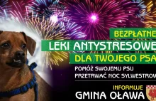 Gmina Oława za pieniądze podatników rozdaje na Sylwestra leki dla psów