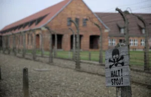 Niemcy. Dyrektorka szkoły o "hajlowaniu" swoich uczniów w Auschwitz: