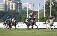 Dzień Arabski na Torze Służewiec