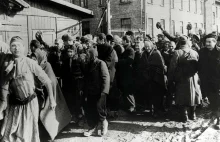 Auschwitz. 79 lat później. Pamiętamy
