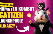 Binance Launchpool: Catizen (CATI) i Hamster Kombat (HMSTR)