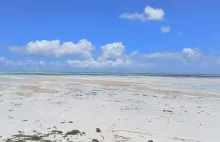 Odpływ morza . Zanzibar