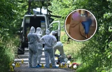 CD sprawy Ukrainki i dziecka zamordowanych w lesie w Niemczech