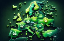 W którym Europejskim kraju używa się najwięcej marihuany? Raport 2024