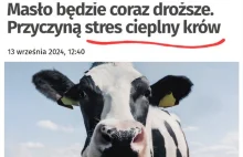 Znamy powód wysokich cen masła.