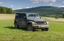 Rozjeżdżają lasy. Idzie bat na quady i offroadowców