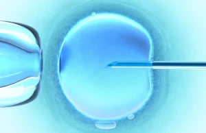 In vitro bez zgody ojca. Bezprecedensowy sprawa w Polsce