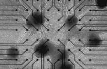 Biokomputer CL1: ludzkie komórki mózgowe na krzemowym chipie