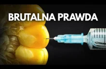 Dlaczego rolnicy nie mogą legalnie wysiewać własnych nasion? GMO