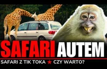 SAFARI BLISKO POLSKI - GDZIE NA WEEKEND? | SAFARI AUTEM | CIEKAWOSTKI | Dvůr Krá