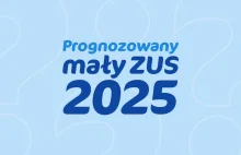 O ile wzrośnie Mały ZUS w 2025 roku?