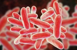 PILNE: Bakteria Legionella szaleje w Rzeszowie - jest już 50 chorych